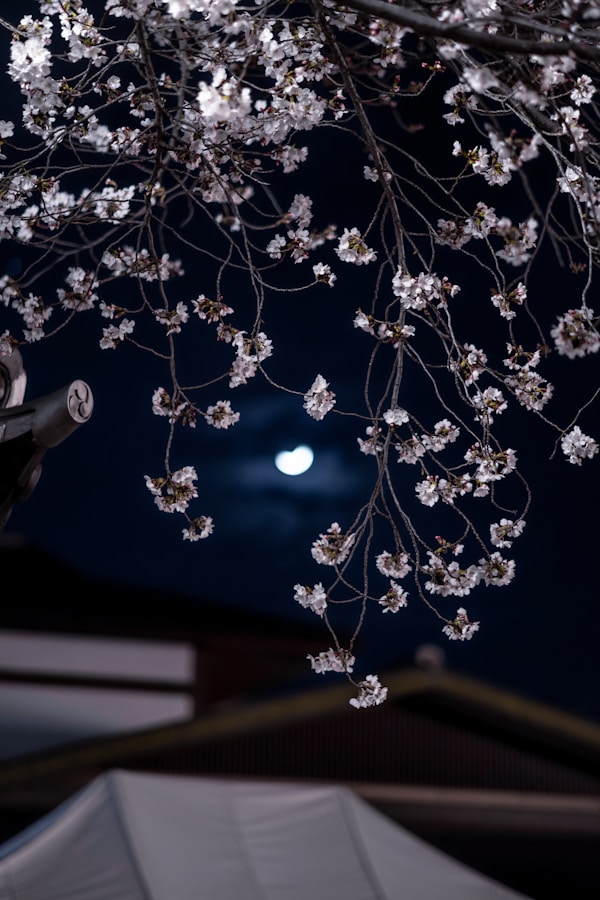 The Midnight Garden book cover